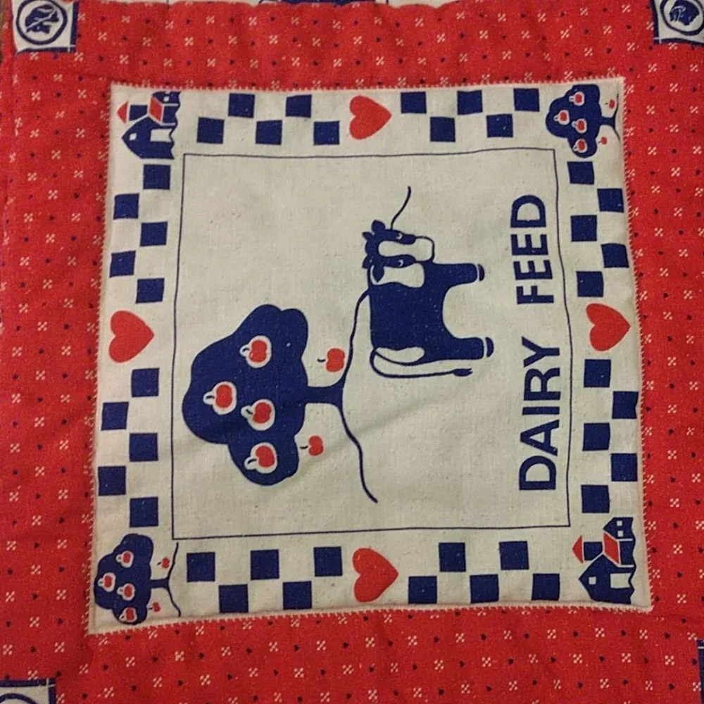 Set of 4 placemats/hot pads